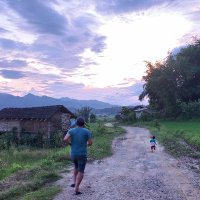 Nayan (@npokhrel) 's Twitter Profile