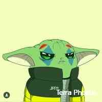 hoebeterra's profile picture. monikasart on sr, fnd, manifold, ko, lr, ng, os, objkt, ₿