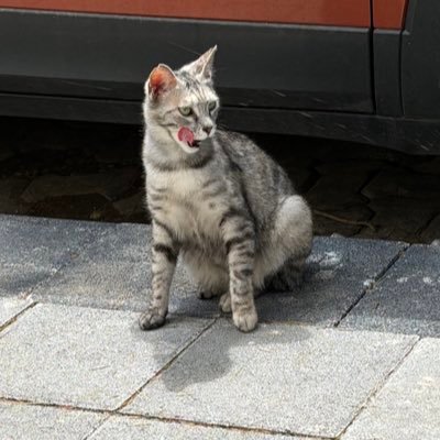 Ken (@kensaitama2024) / X