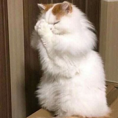 fjiwnf's profile picture. 