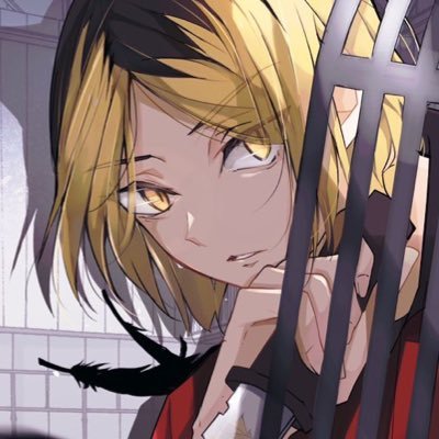 りひめ(やくみ)さんのプロフィール画像