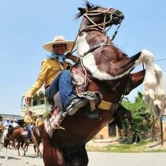 Un guayaco adoptado por la mejor ciudad del mundo : Queveyork 