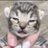 Tweetypig2's profile image