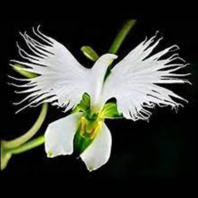 yeyette555's profile picture. no comment