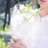 sinchim_35's profile image