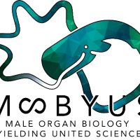 moby.us (@mobyusgroup) 's Twitter Profile Photo moby.us (@mobyusgroup) 's Twitter Profile Photo