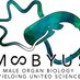 moby.us (@mobyusgroup) Twitter profile photo moby.us (@mobyusgroup) Twitter profile photo
