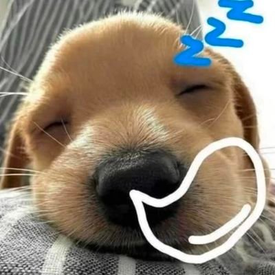 pp7983013017064's profile picture. 