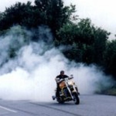 I build and paint motorcycles. I do all of my own work from twisting every nut and bolt, fabricating, creating, painting, airbrush, masking,  start to finish