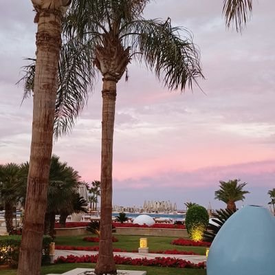 poplarks's profile picture. 