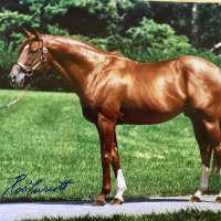 Modesto (@modesticoy2k) 's Twitter Profile