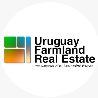 Nos dedicamos a la venta y administración de tierras agrícolas y ganaderas en el Uruguay.