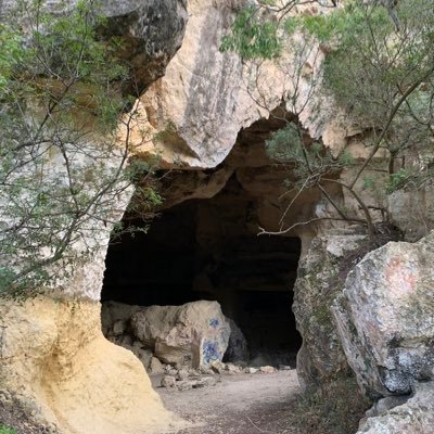 daniruano0o's profile picture. Ing químico. Amante de la Química y de los experimentos científicos 🔬⚗️