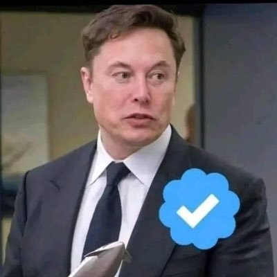 Elon Musk | Tesla | Spacex  Elon Musk Is 👇 CEO - SpaceX 🚀 Tesla A 🚘  Founder - The Boring Company 🛣 Co-Founder - Neuralink, OpenAl!