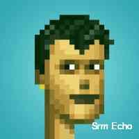 srmsecho's profile picture. Cruising the metaverse looking for the answer 👽