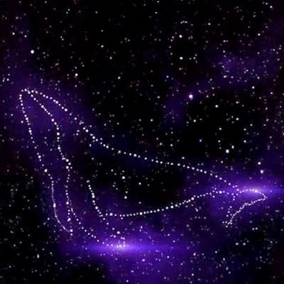 MayumiHara1's profile picture. Viver