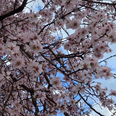 ryhnnnn's profile picture. 