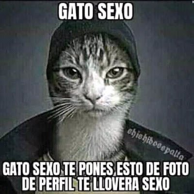 Carlosnt_007's profile picture. 