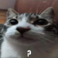 Robot Cat π¨π± (@robotnian) 's Twitter Profile