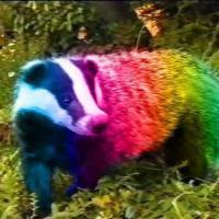 Bio can't include 'invalid escape characters' I write code, break things, play ttrpgs, and pretend I don't use twitter anymore. Feel free to say hi.