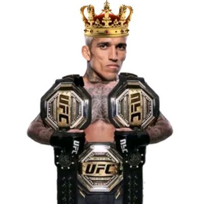 dobronxfan2's profile picture. unknown dobronx fan.