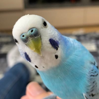 akiさんのプロフィール画像