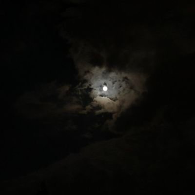 Alizaaz22's profile picture. جدی نگیر خیلی :))