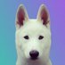 Polar Inu (Backup Account) (@LisaChang329132) Twitter profile photo