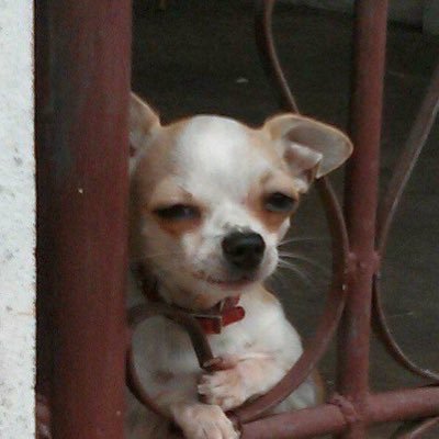 pan2210159's profile picture. 