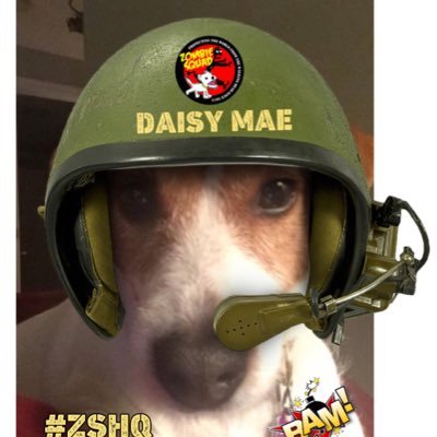 DaisyMaeJack Profile Picture