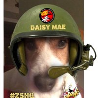 Lt. Daisy Mae(@DaisyMaeJack) 's Twitter Profile Photo