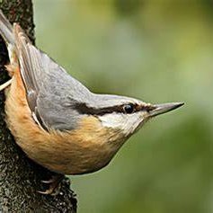 DomSpyd33380's profile picture. 