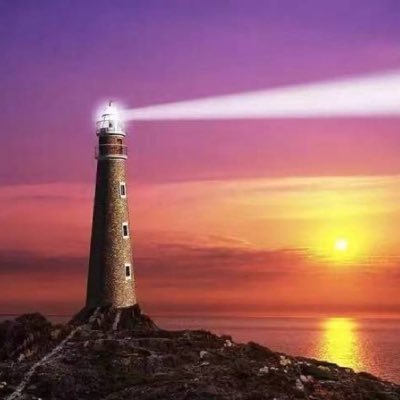 wqiniu33's profile picture. 