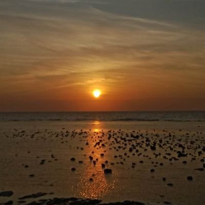 LUKESHESHes's profile picture. 