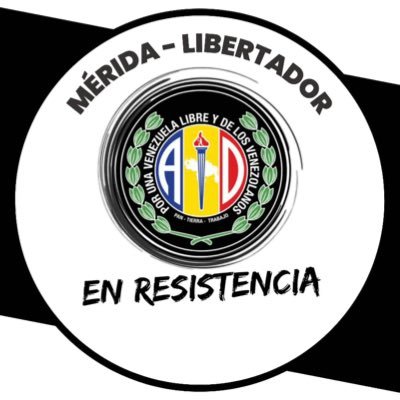 Comité Ejecutivo Municipal Libertador • Partido SocialDemócrata de Venezuela • Seguimos ADelante en UNIDAD • #ADConecta