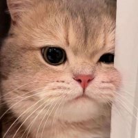 ๐H O R M๐ (@hormchollatip) 's Twitter Profile