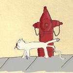 すい🐈＠外食中🍷 (@brandyevan40580) 's Twitter Profile