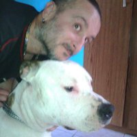 ALEKSANDAR SASHA BEDOV (@aleksandarbedov) 's Twitter Profile