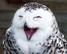 Tales_Teller's profile picture. Scrittore è una parola che ancora mi spaventa, ma ci sto lavorando!