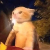 Artemis (@yahyo1357) 's Twitter Profile