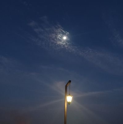 AritraBhowmik's profile picture. staying busy

Reposting does not mean promoting / supporting.