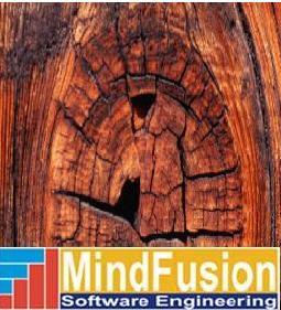 TO PROVIDE ULTIMATE SOLUTION FOR YOUR SOFTWARE NEEDS