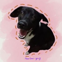 Maa chao-gouy |🌷🐰 (@maa_chao_gouy) 's Twitter Profile Photo Maa chao-gouy |🌷🐰 (@maa_chao_gouy) 's Twitter Profile Photo