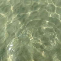 وداد البريدي (@xw_9f) 's Twitter Profile