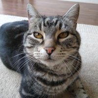 Fast_loose (@fast_loose8008) 's Twitter Profile