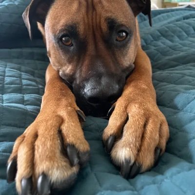 EskabarSanchez's profile picture. 