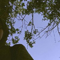 Nourhaטּ (@day17622) 's Twitter Profile