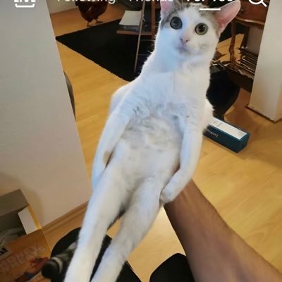 clucuc's profile picture. Bd