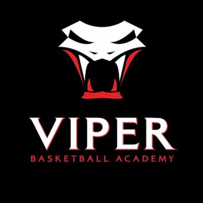 Viper Basketball Academy