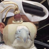 444 (@ss0c_) 's Twitter Profile